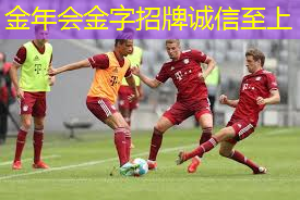 正式比赛乒乓球台高度.txt