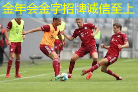 乒乓球台木质材质有哪些