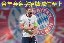 乒乓球台头套