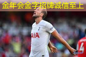 乒乓球台面什么材料