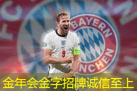 不带轮乒乓球台