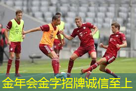 实心球 用于体育科学研究和运动分析的装备