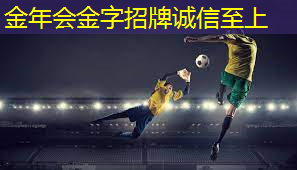 选对篮球架原料，让你成为场上焦点！