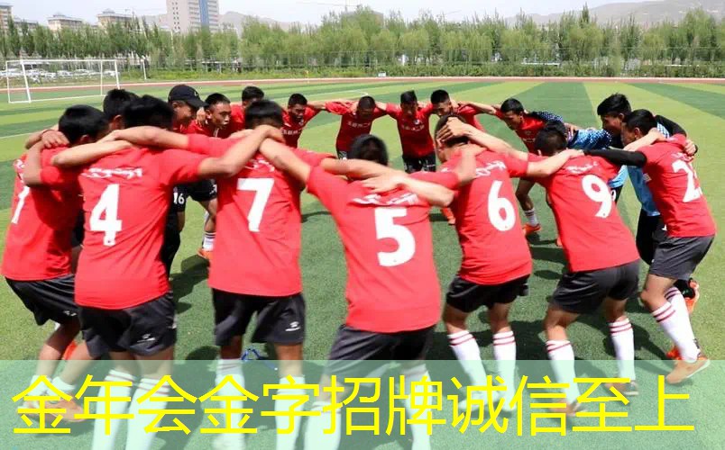 百宝力高端网球拍