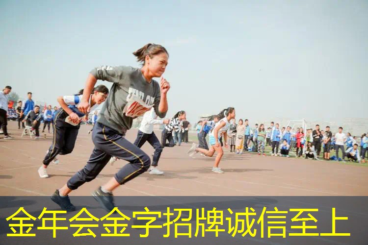 网球拍子百宝利价格