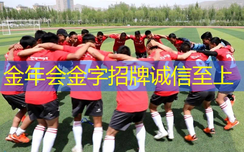 泰昂8600网球拍线