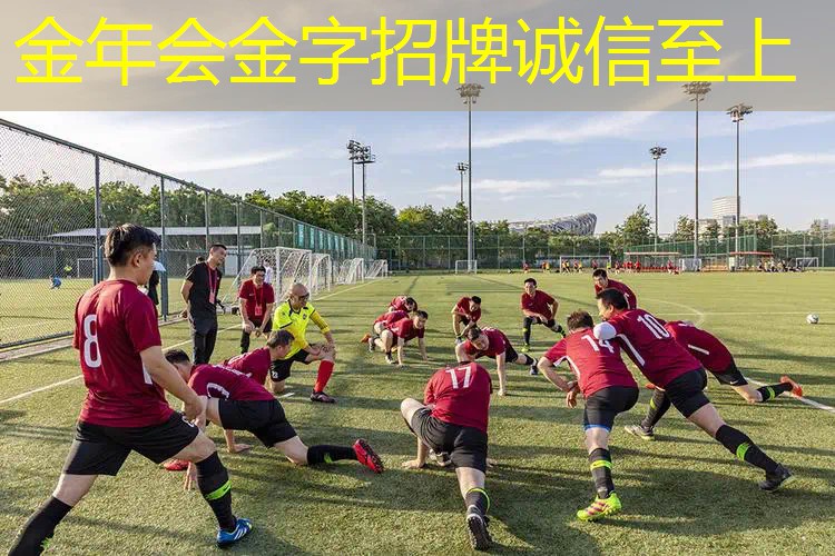 什么网球拍手感脆好