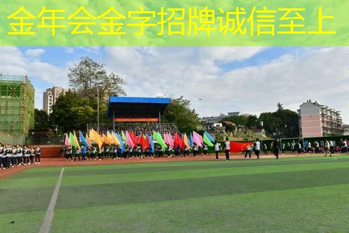 网球拍硬拍和软拍
