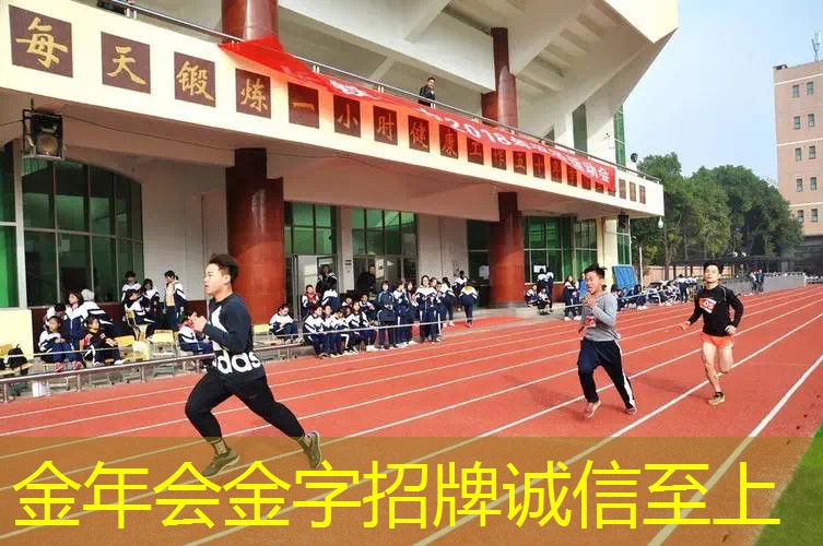 网球拍硬拍和软拍