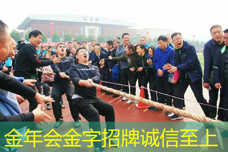 专业人士用什么网球拍好