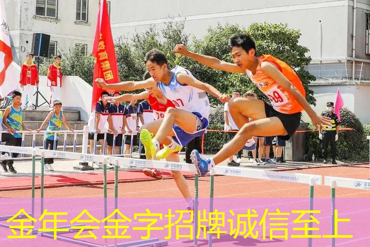 网球拍成人双拍怎么选