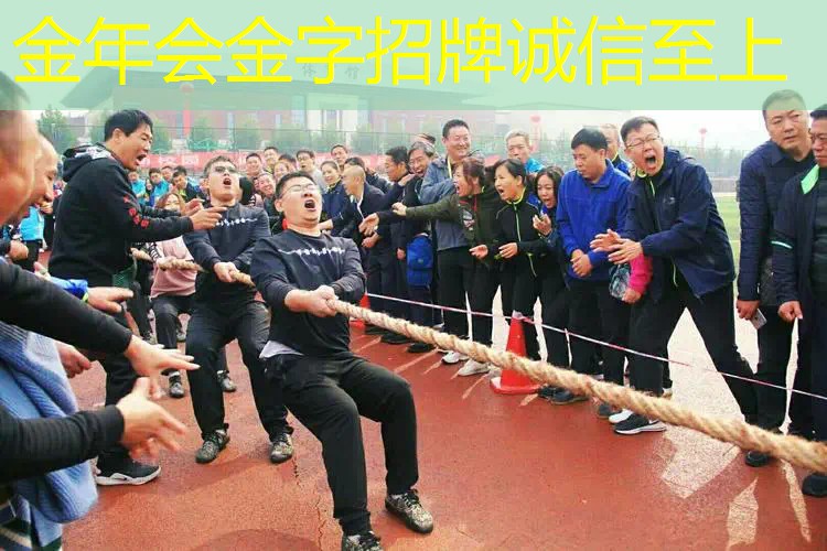 双人训练网球拍怎么装胶皮