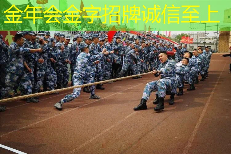 网球拍入门性价比高的拍子