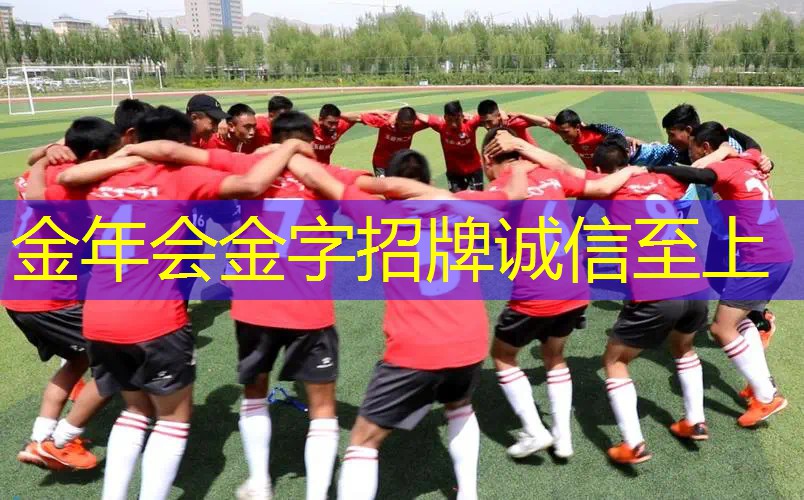 网球拍入门性价比高的拍子