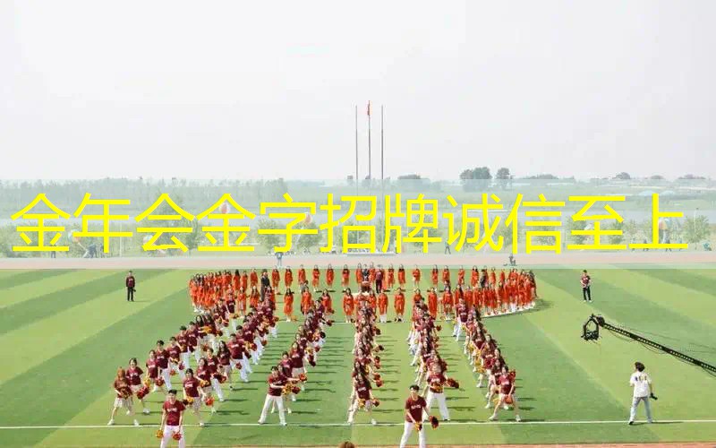 怎么快速查到网球拍价格