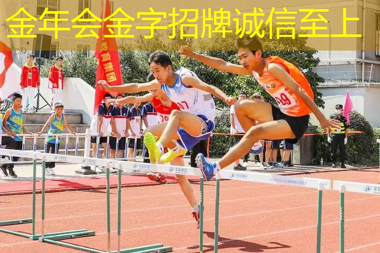 百宝丽网球拍经典款