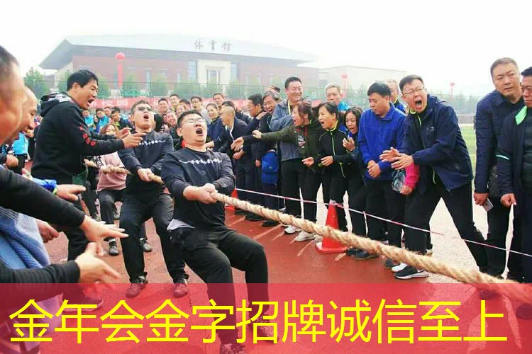 网球拍选什么拍型比较好
