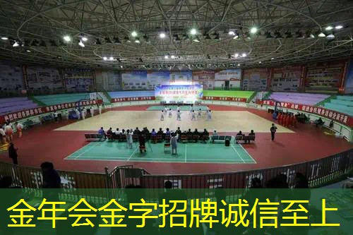 百宝力网球拍碳纤维