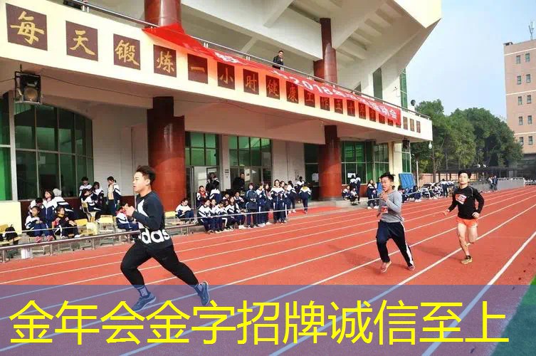 百斯锐哪款网球拍最好耐打