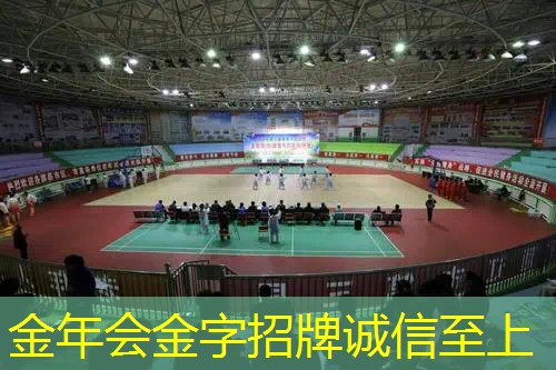 打双反网球拍好吗_