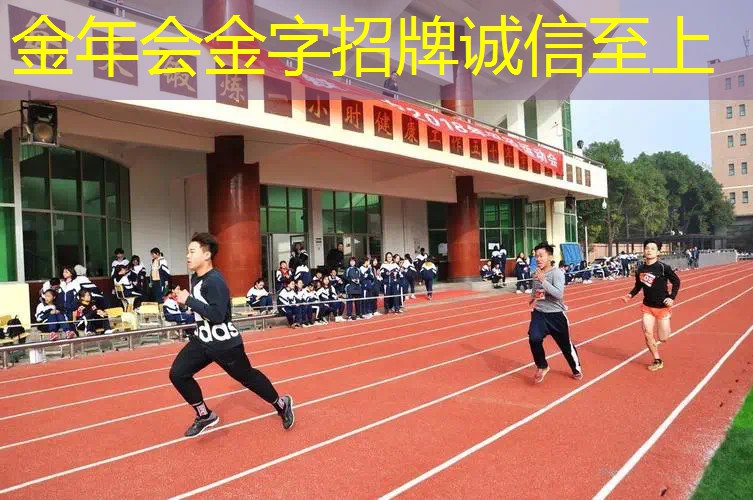 网球拍鱼护挂胶哪个好用