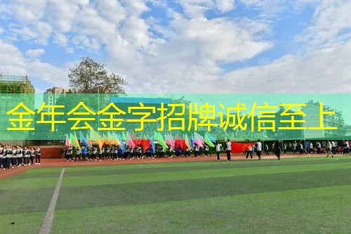 新网球拍单人训练器