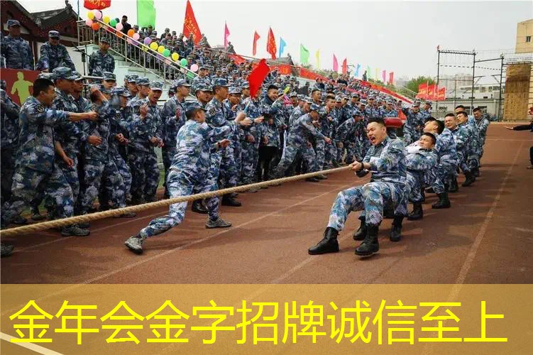 网球拍海德和威尔逊哪个好