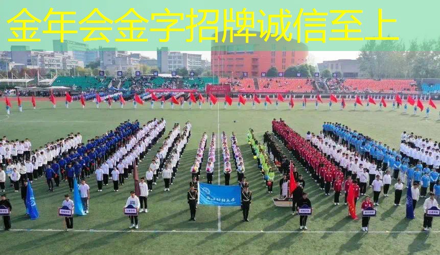 网球拍海德和威尔逊哪个好