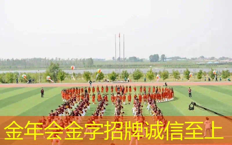 百宝力入门网球拍