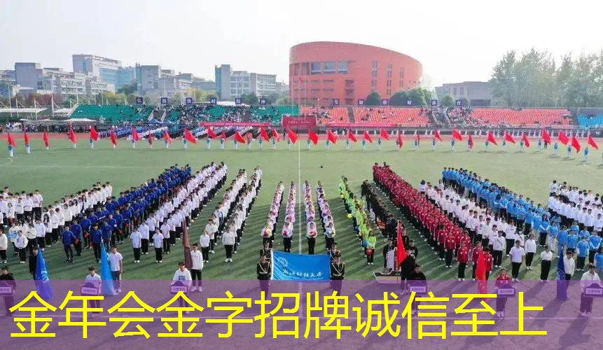 网球拍为什么不用避震器了