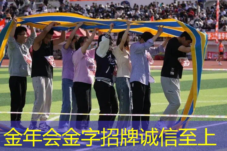 网球拍避震结替代品