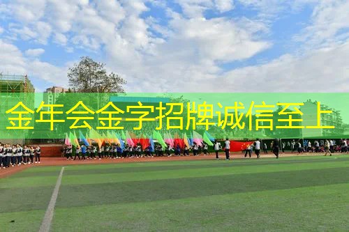 网球拍避震结替代品