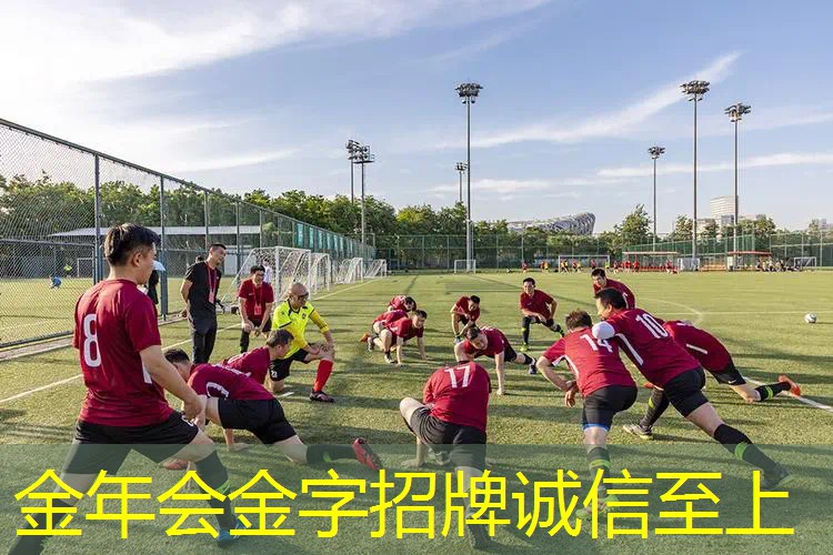 哈勒普拿什么网球拍