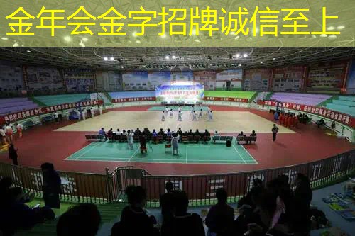 2015百宝力美网球拍