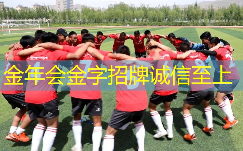 2015百宝力美网球拍