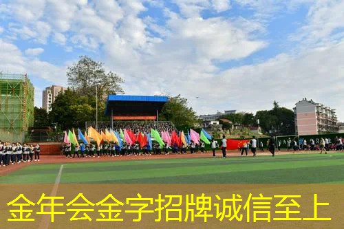 全碳素网球拍百保力