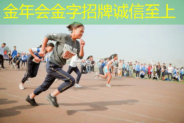 全碳素网球拍百保力