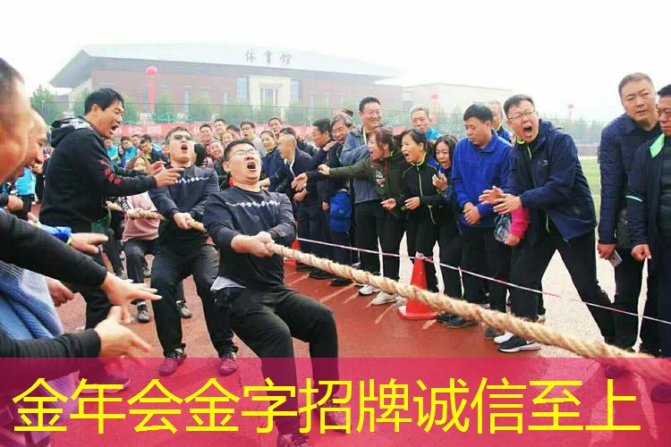 全碳素网球拍百保力