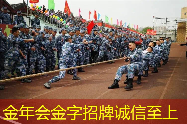 成年人使用的网球拍