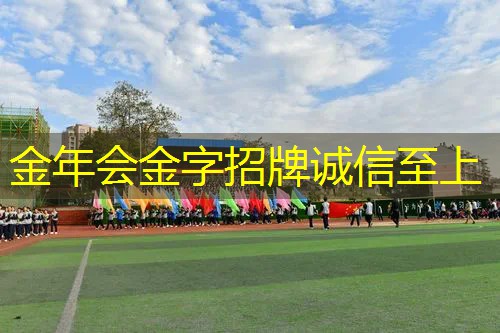 网球拍选什么指数好用的