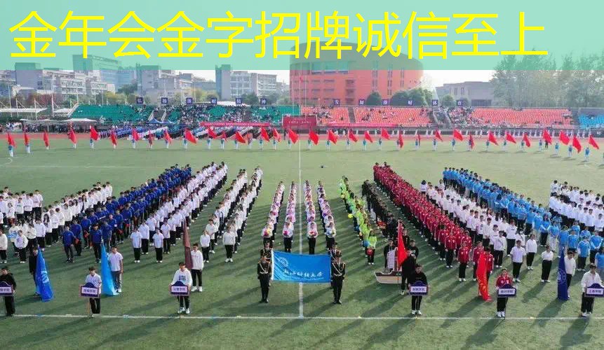 萨拉波娃王子网球拍