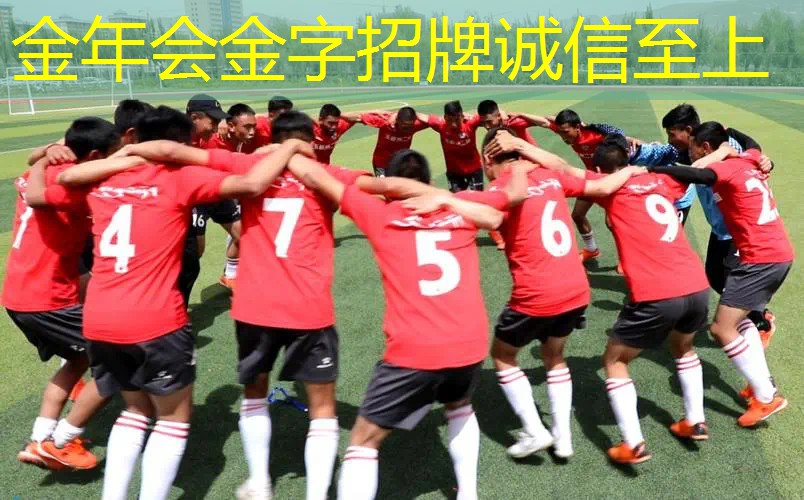 高回弹网球拍有哪些型号