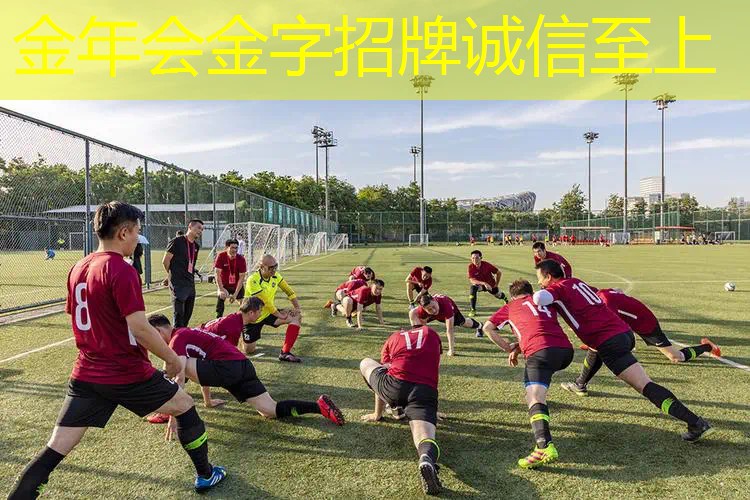 室内运动健身器材组合