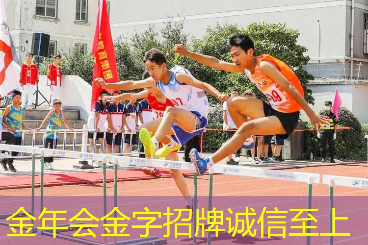 篮球场设计新概念！独特篮球架侧面边高度的成功案例！